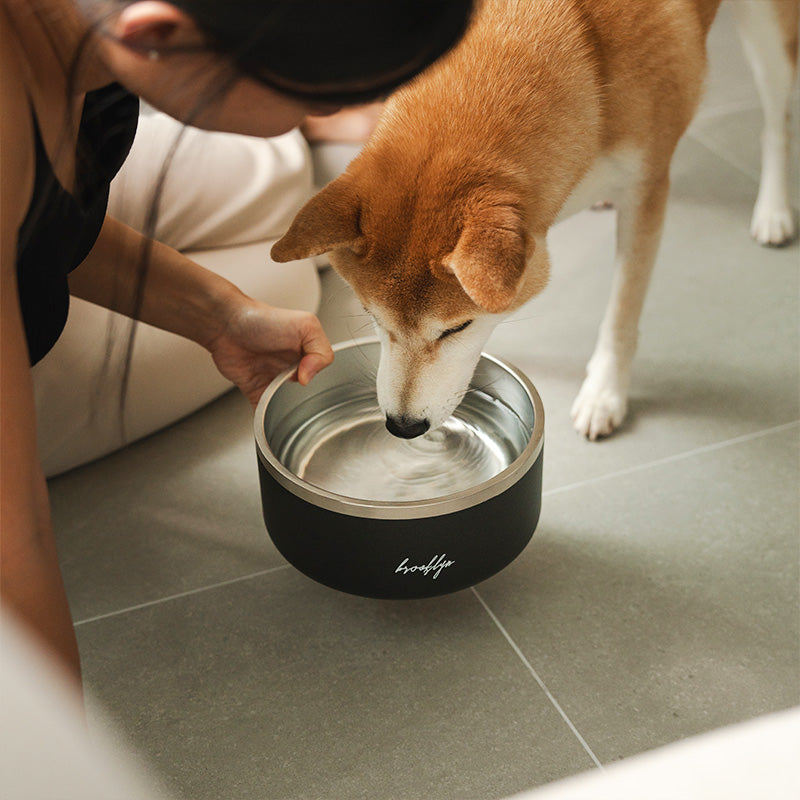 Brooklyn® Tuff Dog Bowl