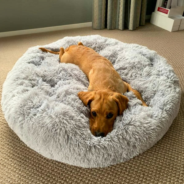 The Brooklyn | NZ's Favourite Dog Beds | Sale Ends Tonight