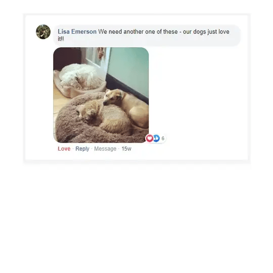 ezgif.com-gif-maker_540x.webp