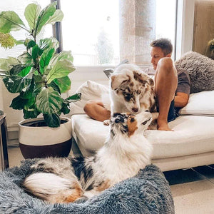 Happy customer with their bed