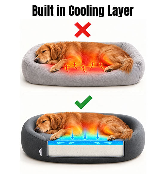 Cool in summer, warm in winter