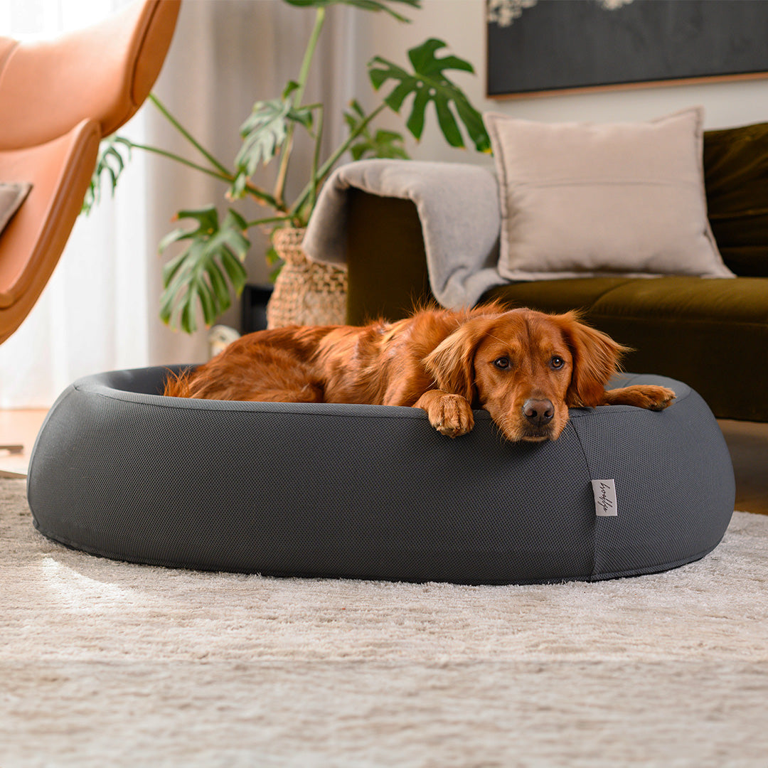 Brooklyn® Nest Cooling Dog Bed (Orthopaedic Memory Foam)