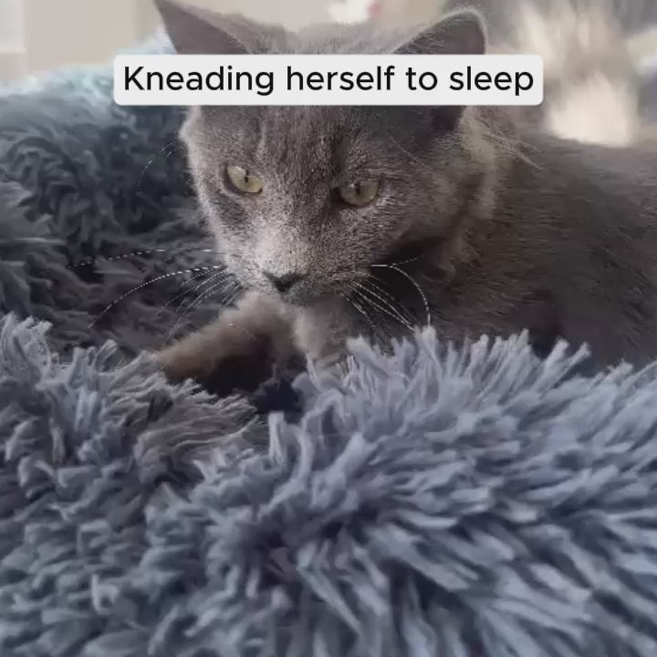 Brooklyn® Deep Sleep Cat Bed