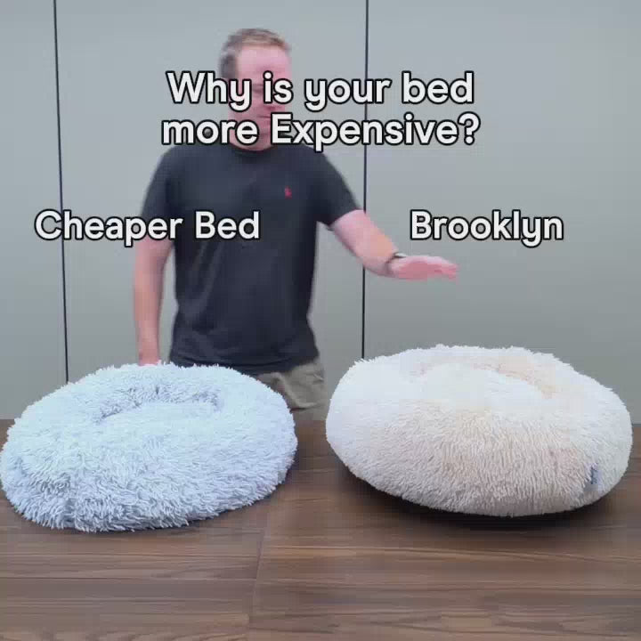The Brooklyn