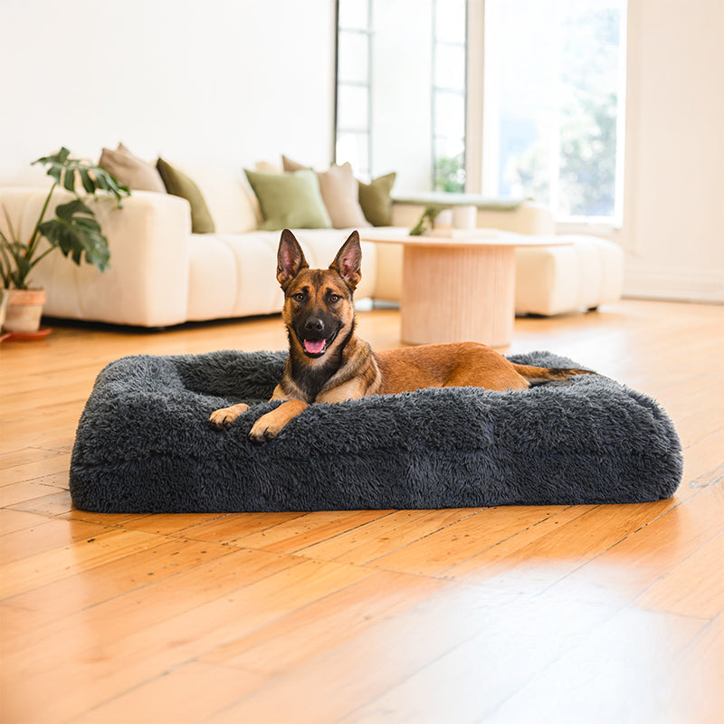 Brooklyn Memory Foam Bolster Bed