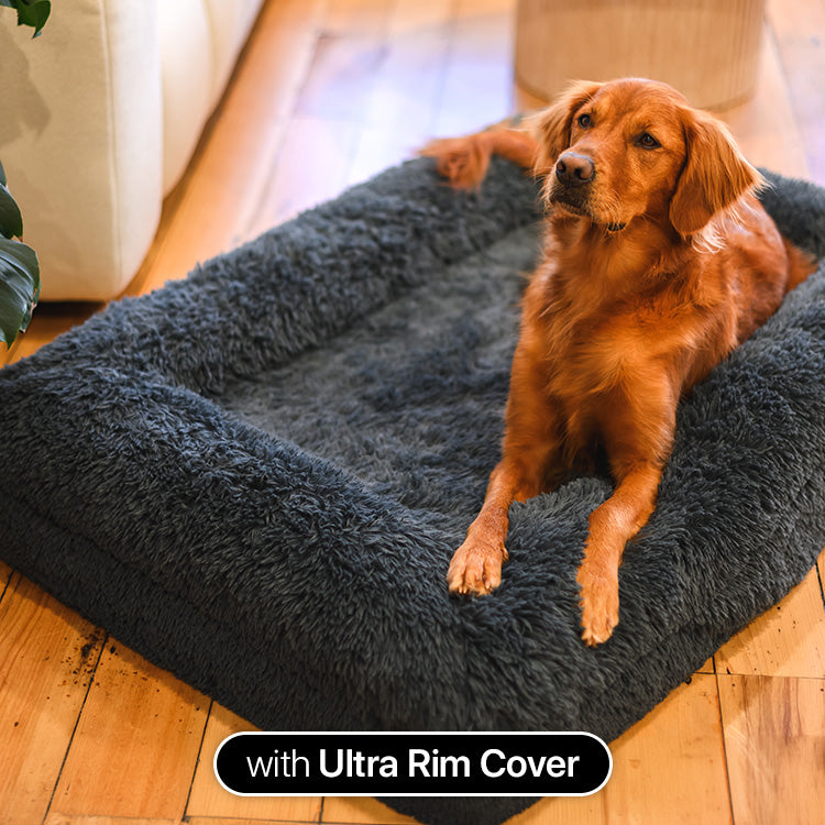 The Brooklyn | NZ's Favourite Dog Beds | Sale Ends Tonight