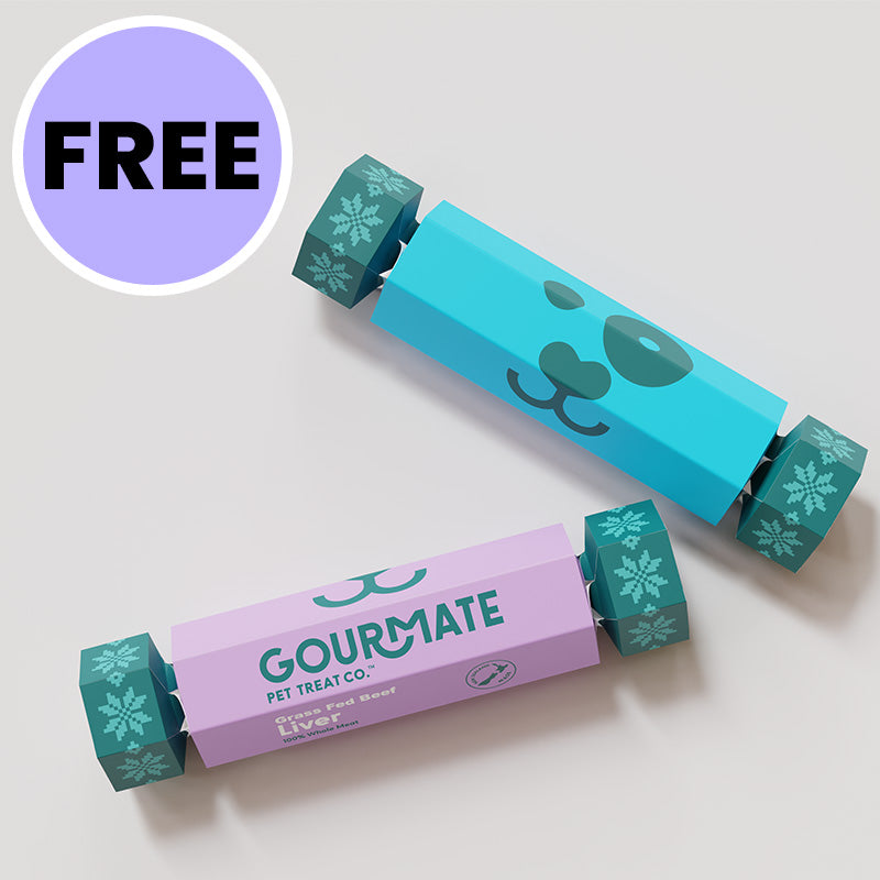 FREE Dog Treat Christmas Cracker