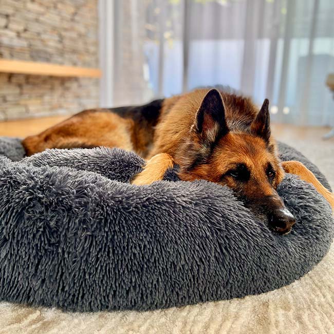 Brooklyn® Deep Sleep Pet Bed