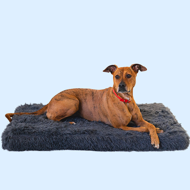 CLEARANCE: Brooklyn® Ultra Memory Foam