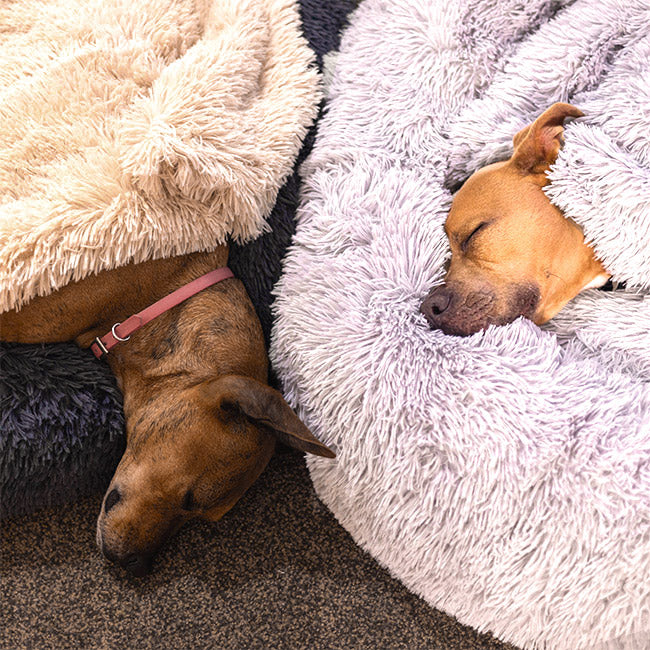 Brooklyn® Deep Sleep Throw