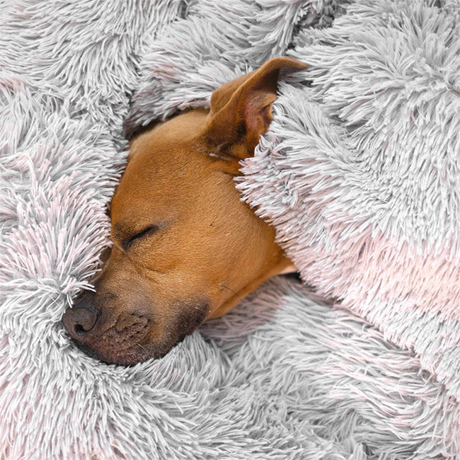 Brooklyn® Deep Sleep Throw