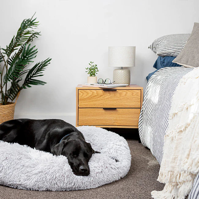 Dog bed top black friday sale