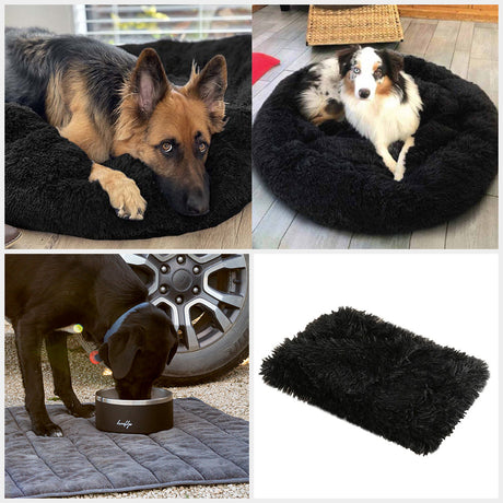 Ultimate Dog Starter Bundle Pack