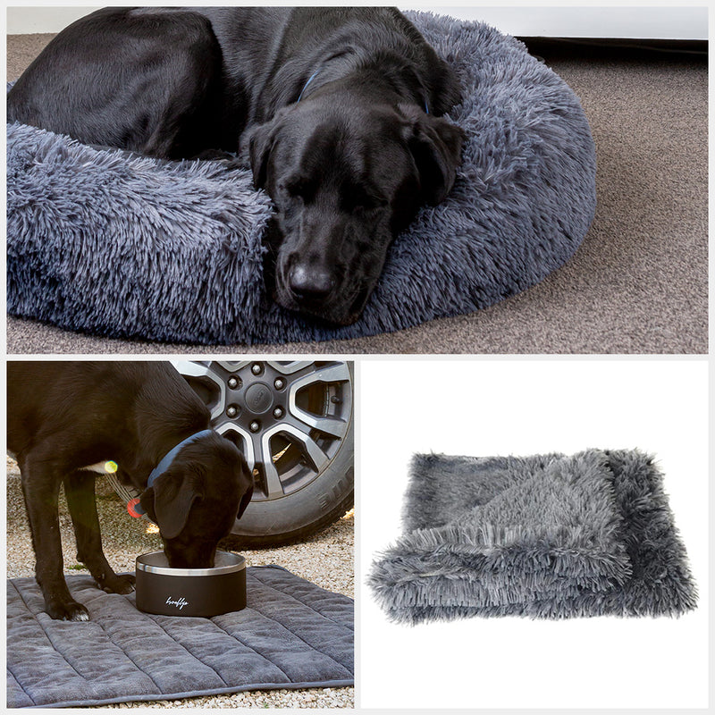 Ultimate Dog Starter Bundle Pack