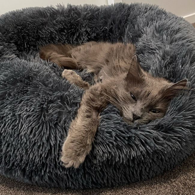 Brooklyn® Deep Sleep Cat Bed