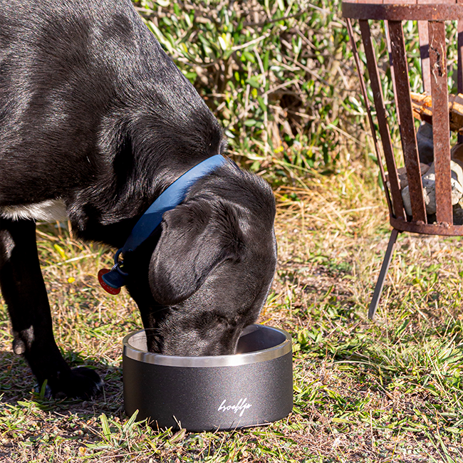 Brooklyn® Tuff Dog Bowl