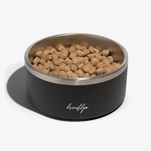 Insulated Dog Bowl