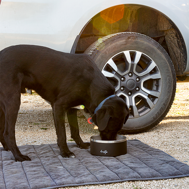 Brooklyn® Tuff Dog Bowl