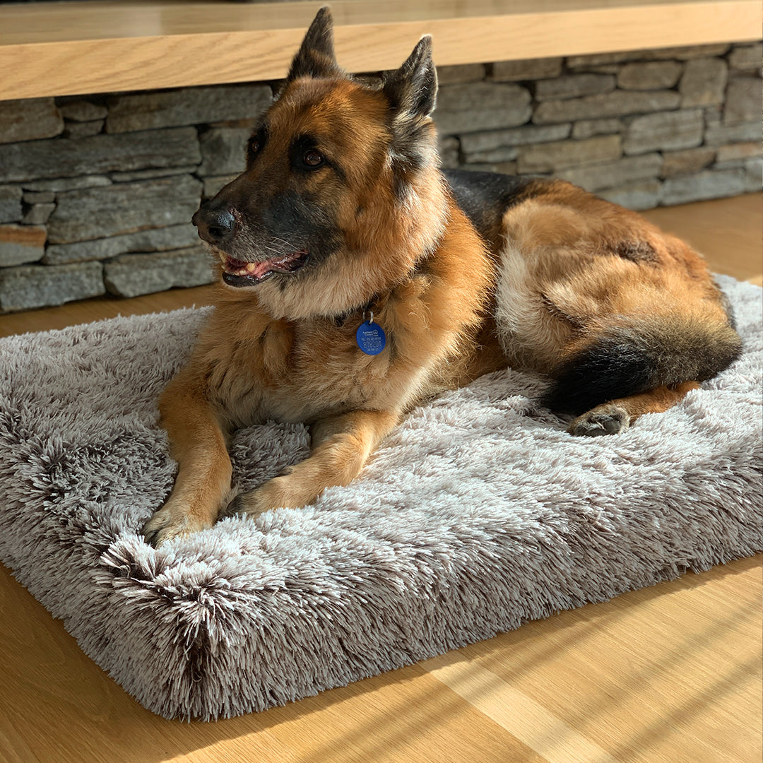 Memory foam dog pad best sale